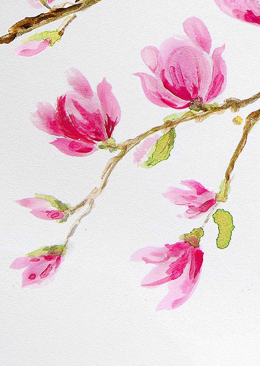 Close-up of a Hue the Artist mixed media art print featuring pink water colour magnolia flowers.