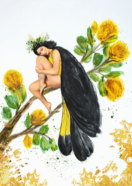 Hue the Artist art print called Perfectly Perched features a  birdlike woman in a black and yellow cloak, sitting on a branch of a banksia tree.