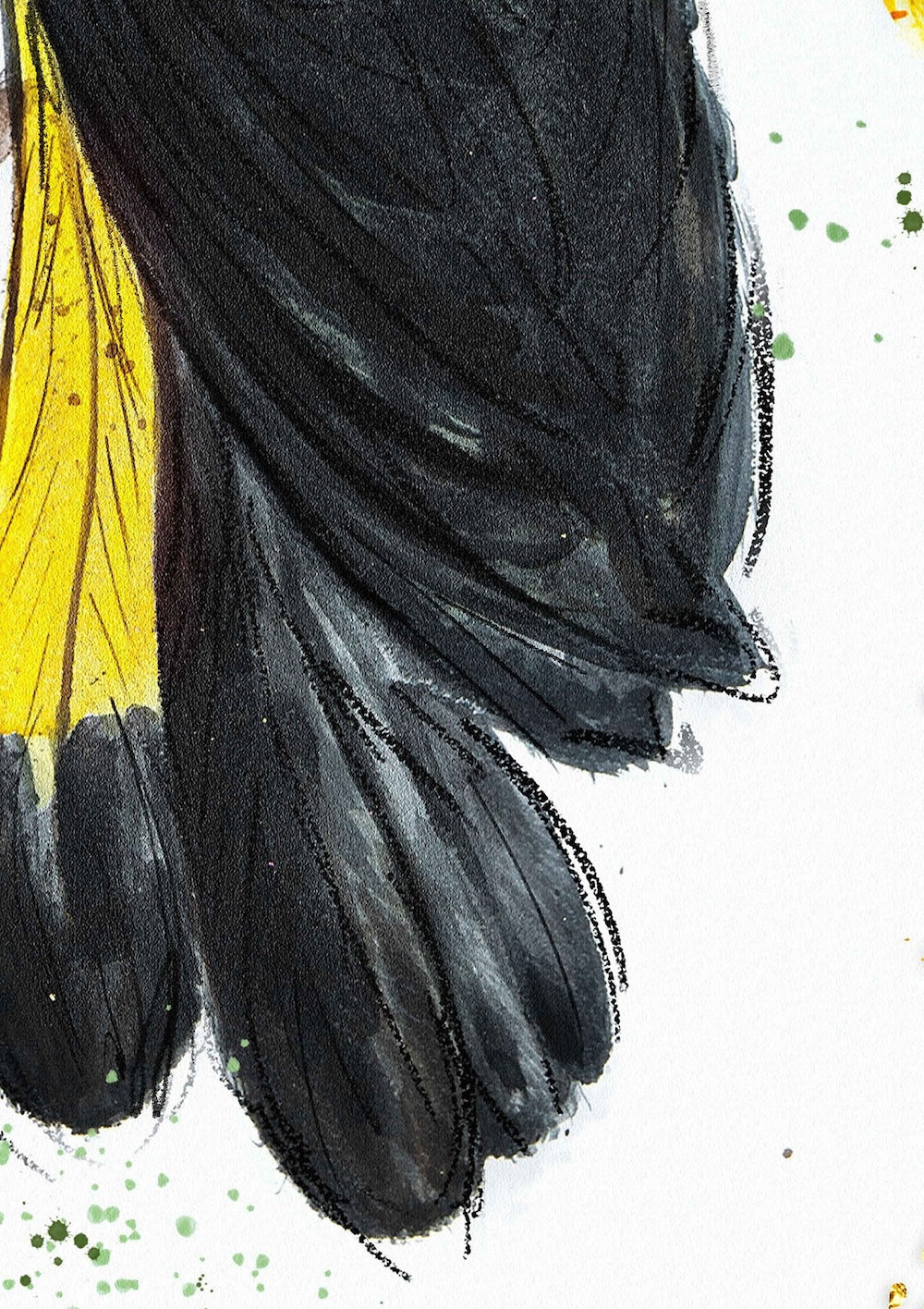 Close up of a Hue the Artist mixed media art print with tail feather details in black and yellow. background is white.