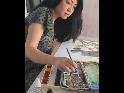 Hue the Artist process video of Perfectly Perched art print being created. It features a woman dressed in yellow and black sitting on banksia branch.